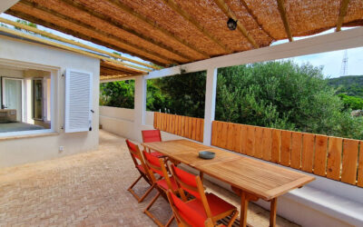Pergola par Yunta Genèse